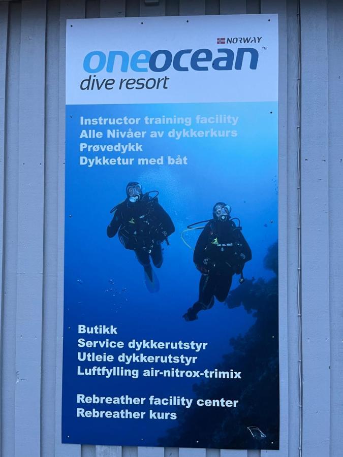 Paradis Pa Sorlandet Vakantiehuis Kristiansand